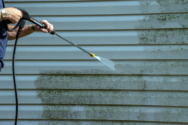 Best Solar Panel Cleaning  in Los Osos, CA